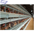 Leon brand layer hens poultry equipment /automatic battery layer chicken cage system